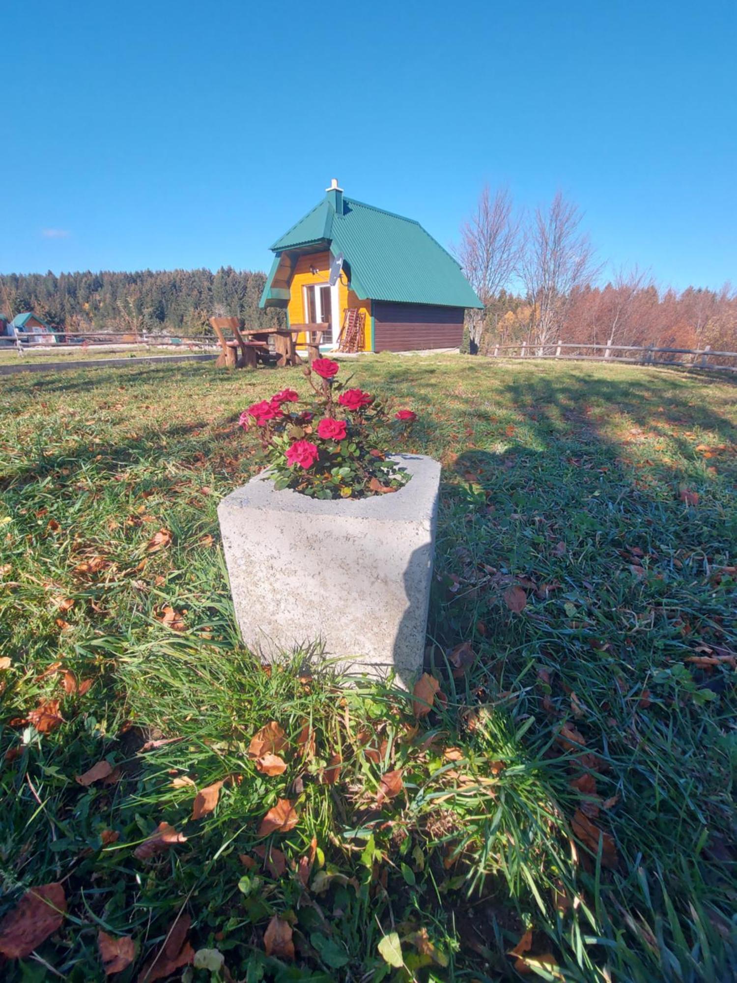 Durmitor Bungalows Žabljak Esterno foto