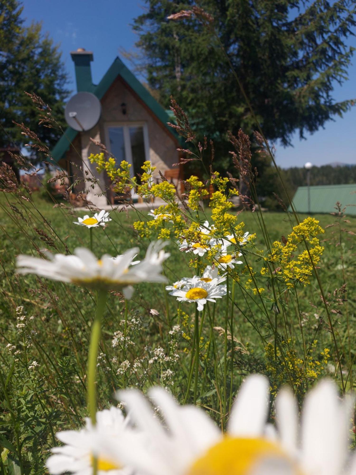 Durmitor Bungalows Žabljak Esterno foto